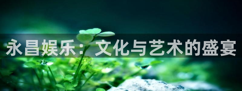 新航娱乐代理：永昌娱乐：文化与艺术的盛宴